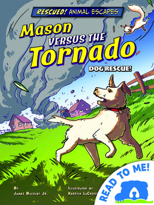 cover image of Mason versus the Tornado